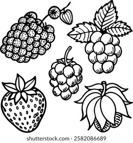 This collection features beautifully drawn illustrations of various fruits, from juicy berries to tropical delights