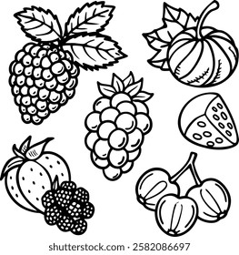 This collection features beautifully drawn illustrations of various fruits, from juicy berries to tropical delights