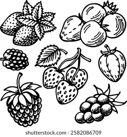 This collection features beautifully drawn illustrations of various fruits, from juicy berries to tropical delights