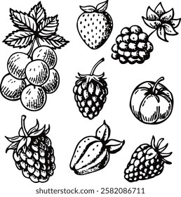 This collection features beautifully drawn illustrations of various fruits, from juicy berries to tropical delights