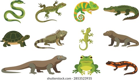 This collection features various colorful reptiles and amphibians displayed in a flat style against a neutral gray background. Each unique creature exhibits distinct physical characteristics ranging from scaly textures to smooth skin patterns. The set includes diverse species such as snakes lizards and frogs arranged in a clear grid format showcasing biological diversity.