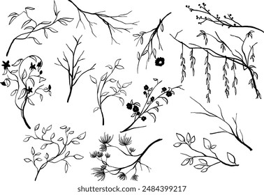 Esta colección de ilustraciones de arte lineal dibujadas a mano cuenta con varias ramas de plantas, perfectas para agregar un toque botánico