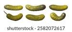 This collection of quirky pickled cucumbers highlights the art of fermentation, showcasing tangy, vinegary flavors perfect for vegetarian appetizers and trendy snacks.