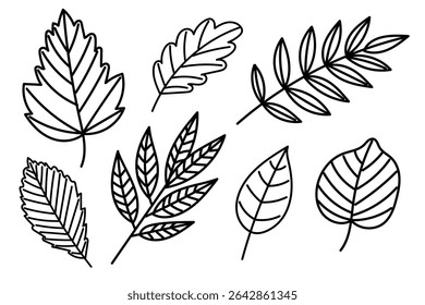 This collection showcases beautiful handdrawn black and white illustrations of leaves