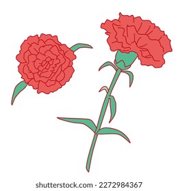 This is a color illustration of carnations created for Mother's Day. This is a set of two flowers, one seen from above and the other from the side.