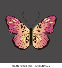 This is colorful butterflies, flying in different directions. 