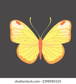 this is of colorful butterflies, flying in different directions.