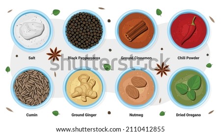 This colorful flat set shows spices, substances used for flavoring or coloring food