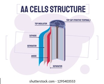 This Colorful Illustration Shows In Detail The Structure And Basic Elements Of An AA Battery: Cathode, Anode, Separator, Top Insulator.