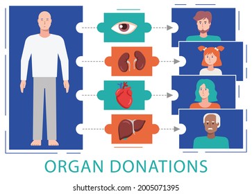 This colorful illustration shows a process of organ donation when a person allows an organ of their own to be removed and transplanted to another person