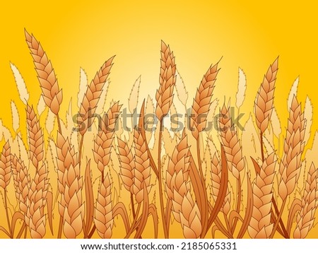 This colorful image illustrates a ripe yellow wheat ears on a field