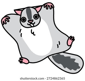 Esta es una ilustración cómica y linda de una ardilla voladora deslizándose con sus extremidades extendidas.