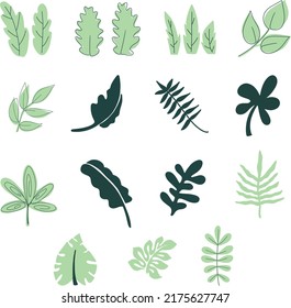contiene un conjunto de ilustraciones de hojas en formato .eps