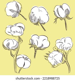 esto es 
Plantilla de icono de algodón 