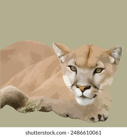 This is a Cougar (Puma concolor)