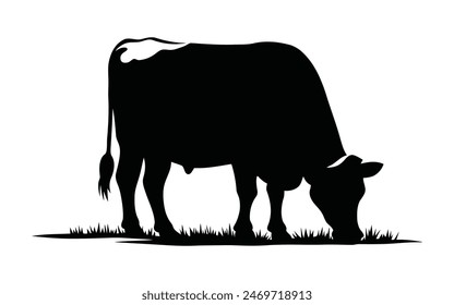 This is a cow silhouette in the field eating grass.