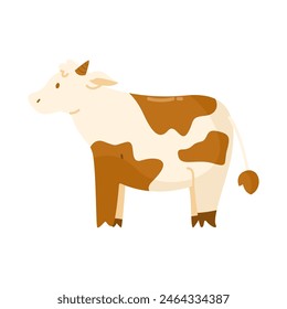 Esta vaca es adecuada para el evento islámico