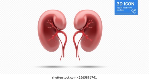 This creative representation features two human kidneys, highlighting their vascular systems. The design is clear, suitable for educational purposes in healthcare or biology.