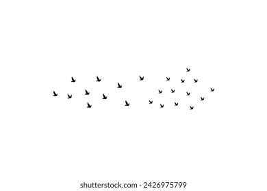 This is creative Vector illustration flying flock of birds. Illustration vector flight bird silhouettes collection.
