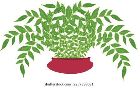 Este es el diseño vectorial de la salida de curry 