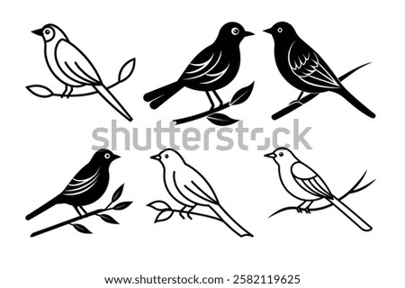 This is a cute baya bird vector icon design with illustration
