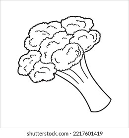 this is a cute and beautiful Broccoli line art images, Broccoli outline drawing, Broccoli vector art and illustrations art and Broccoli coloring book pages
