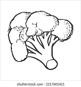 this is a cute and beautiful Broccoli line art images, Broccoli outline drawing, Broccoli vector art and illustrations art and Broccoli coloring book pages