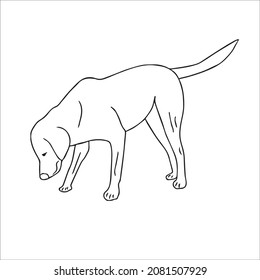 this is a cute and beautiful Bull images line art ,outline drawing,vector art and illustrations art