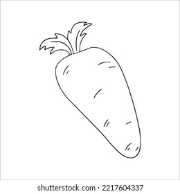 this is a cute and beautiful Carrot line art images, Carrot outline drawing, Carrot vector art and illustrations art and Carrot coloring book pages