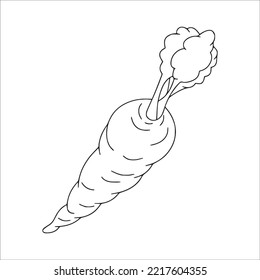 this is a cute and beautiful Carrot line art images, Carrot outline drawing, Carrot vector art and illustrations art and Carrot coloring book pages
