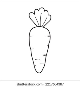 this is a cute and beautiful Carrot line art images, Carrot outline drawing, Carrot vector art and illustrations art and Carrot coloring book pages