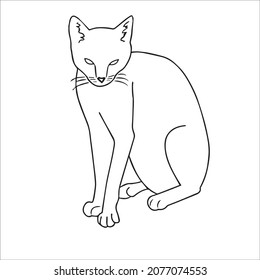 this is a cute and beautiful cat images line art ,outline drawing,vector art and illustrations art