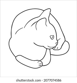 this is a cute and beautiful cat images line art ,outline drawing,vector art and illustrations art