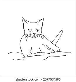 this is a cute and beautiful cat images line art ,outline drawing,vector art and illustrations art