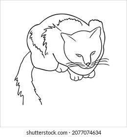 this is a cute and beautiful cat images line art ,outline drawing,vector art and illustrations art