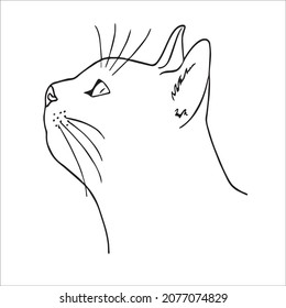 este es un lindo y bello dibujo de líneas de gatos, dibujo de contornos, arte vectorial e ilustraciones arte