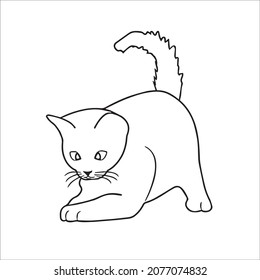 this is a cute and beautiful cat images line art ,outline drawing,vector art and illustrations art