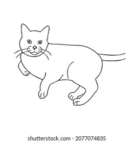 this is a cute and beautiful cat images line art ,outline drawing,vector art and illustrations art