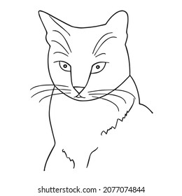 this is a cute and beautiful cat images line art ,outline drawing,vector art and illustrations art