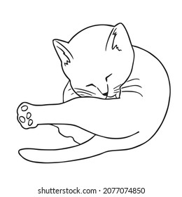 this is a cute and beautiful cat images line art ,outline drawing,vector art and illustrations art