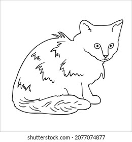 this is a cute and beautiful cat images line art ,outline drawing,vector art and illustrations art