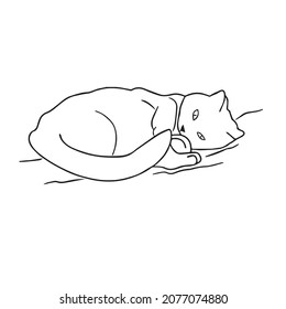 this is a cute and beautiful cat images line art ,outline drawing,vector art and illustrations art