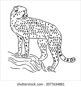 this is a cute and beautiful cheetah images line art ,outline drawing,vector art and illustrations art