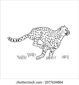 this is a cute and beautiful cheetah images line art ,outline drawing,vector art and illustrations art