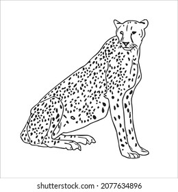 this is a cute and beautiful cheetah images line art ,outline drawing,vector art and illustrations art