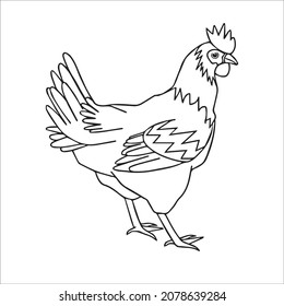 this is a cute and beautiful chicken images line art ,outline drawing,vector art and illustrations art