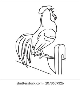 this is a cute and beautiful chicken images line art ,outline drawing,vector art and illustrations art