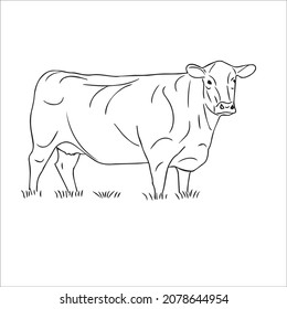 this is a cute and beautiful cow images line art ,outline drawing,vector art and illustrations art