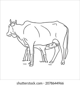 this is a cute and beautiful cow images line art ,outline drawing,vector art and illustrations art