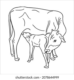 this is a cute and beautiful cow images line art ,outline drawing,vector art and illustrations art